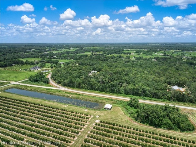 Boyd Cowart Rd, Wauchula, FL 33873 - photo 5