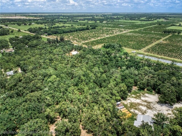 Boyd Cowart Rd, Wauchula, FL 33873 - photo 13