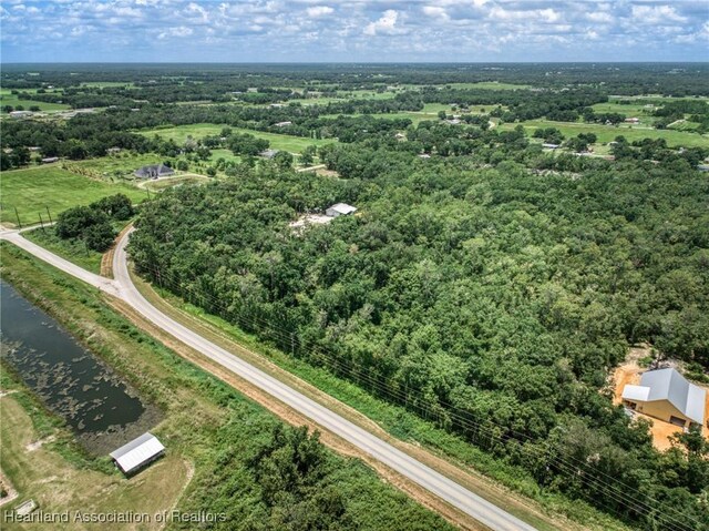 Boyd Cowart Rd, Wauchula, FL 33873 - photo 6