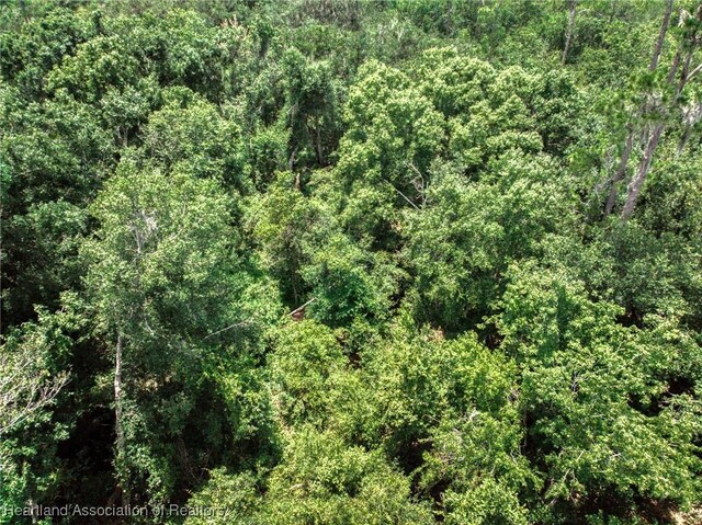 Boyd Cowart Rd, Wauchula, FL 33873 - photo 16