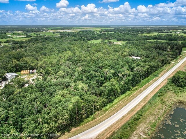 Boyd Cowart Rd, Wauchula, FL 33873 - photo 9