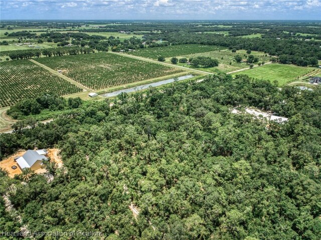 Boyd Cowart Rd, Wauchula, FL 33873 - photo 12