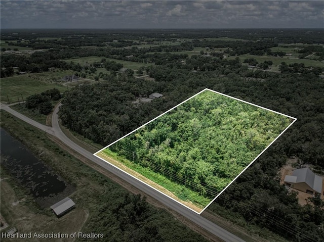 Boyd Cowart Rd, Wauchula, FL 33873 - photo 2