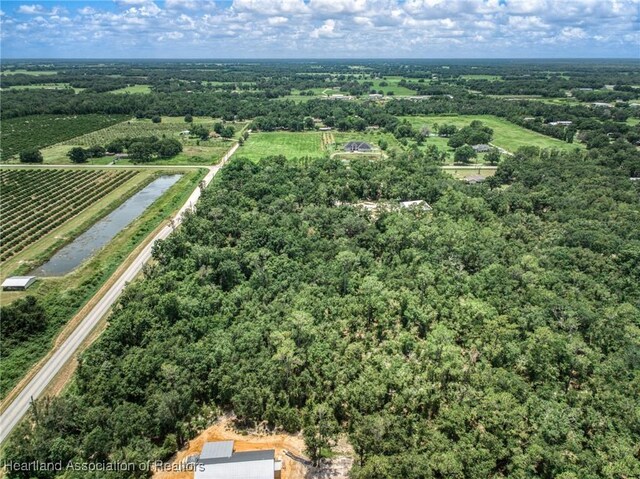 Boyd Cowart Rd, Wauchula, FL 33873 - photo 7