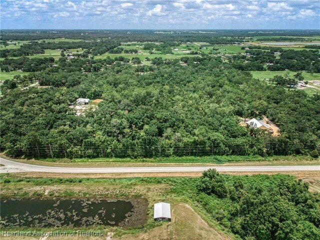 Boyd Cowart Rd, Wauchula, FL 33873 - photo 8