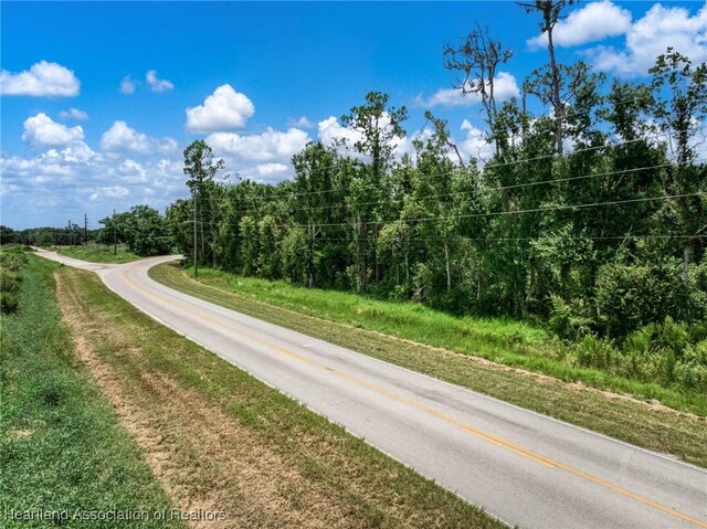 Boyd Cowart Rd, Wauchula, FL 33873 - photo 11