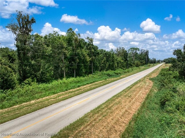 Boyd Cowart Rd, Wauchula, FL 33873 - photo 10