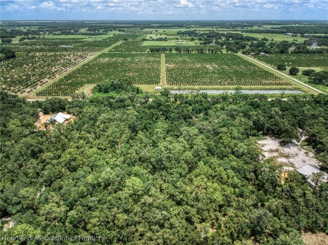 Boyd Cowart Rd, Wauchula, FL 33873 - photo 14