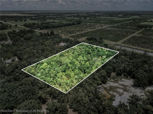 Boyd Cowart Rd, Wauchula, FL 33873 - photo 4