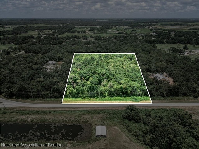 Boyd Cowart Rd, Wauchula, FL 33873 - photo 1