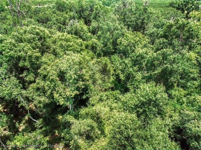 Boyd Cowart Rd, Wauchula, FL 33873 - photo 17