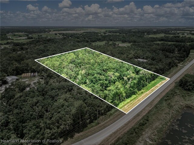 Boyd Cowart Rd, Wauchula, FL 33873 - photo 3