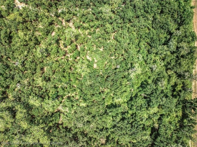 Boyd Cowart Rd, Wauchula, FL 33873 - photo 15