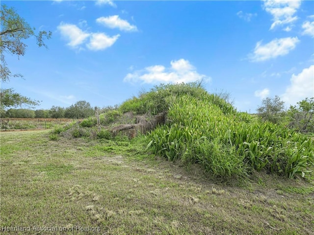 view of landscape featuring a rural view