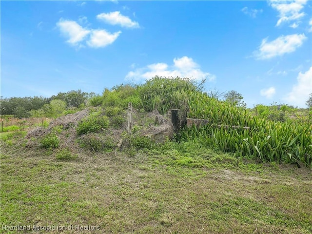 view of local wilderness