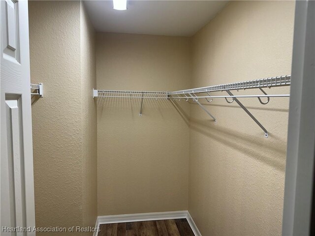 spacious closet featuring dark hardwood / wood-style flooring