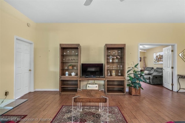 living room featuring wood-type flooring