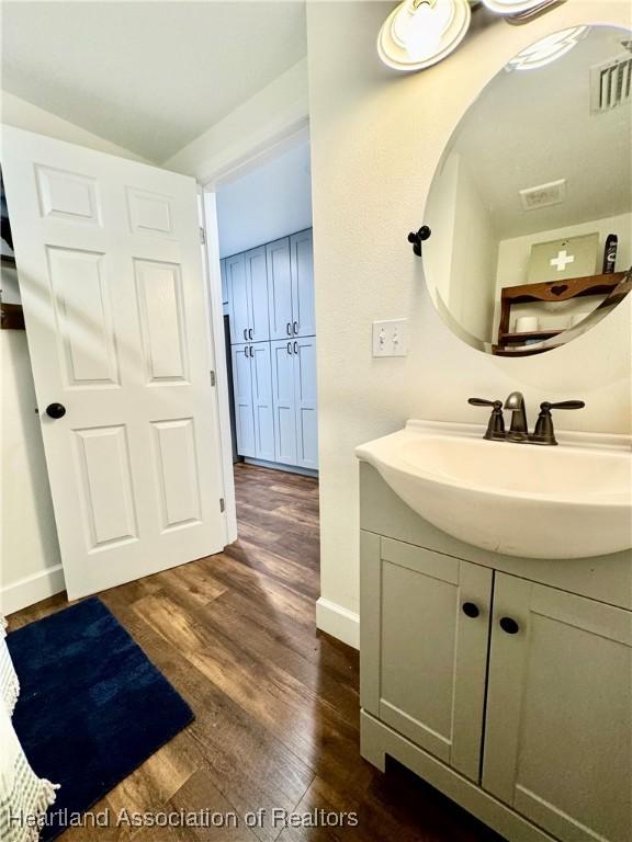 bathroom with vanity and wood-type flooring