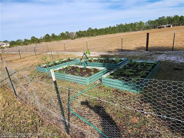 view of yard featuring a vegetable garden, a rural view, and fence