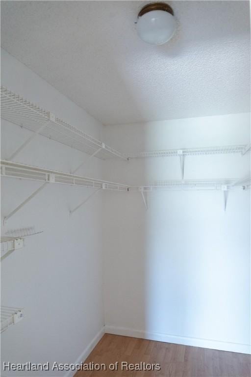 walk in closet featuring hardwood / wood-style floors