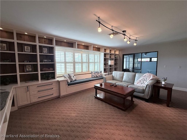 carpeted living area featuring track lighting and a wealth of natural light