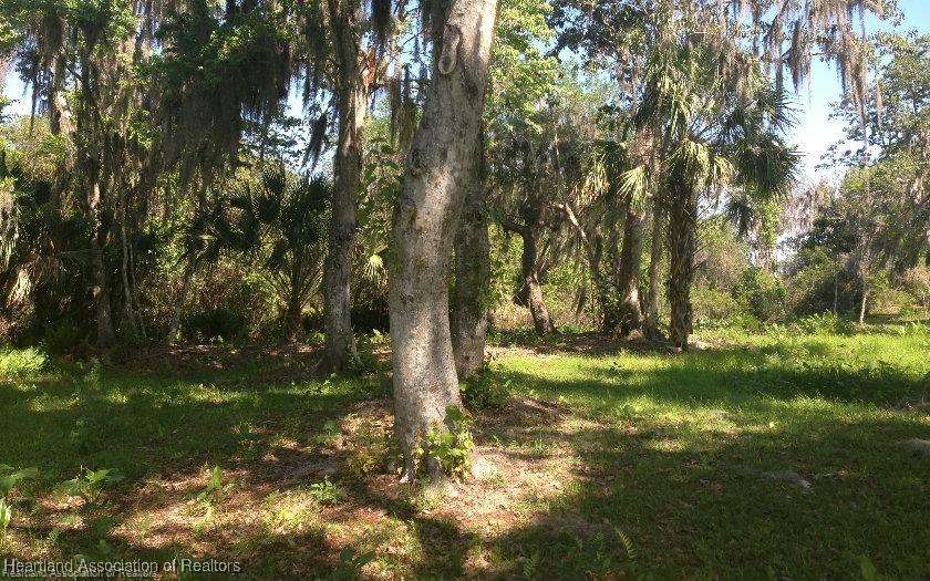 2061 Jack Dr, Lake Placid, FL 33852 - photo 4