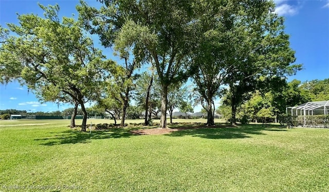 view of yard
