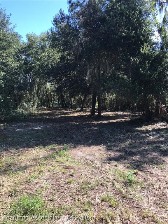 Listing photo 3 for Timberlane Rd, Lake Wales FL 33898