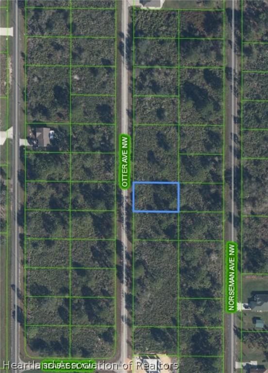 Listing photo 2 for 234 Otter Ave NW, Lake Placid FL 33852