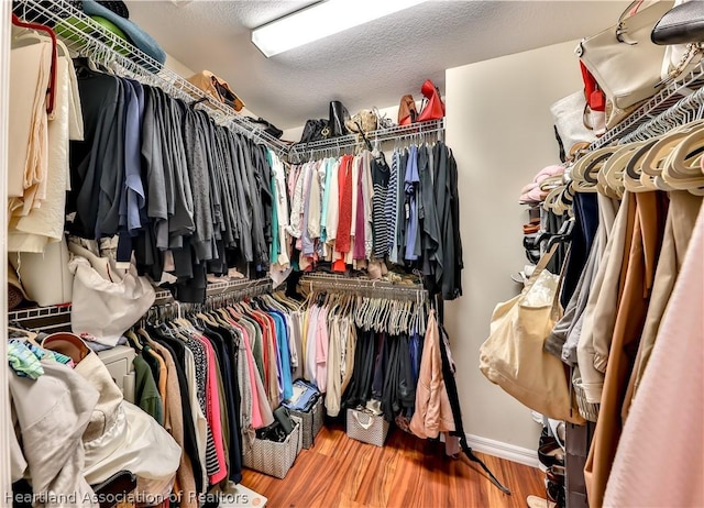 walk in closet with wood-type flooring