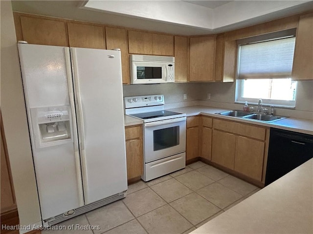 112 Loquat Rd NE, Lake Placid, FL 33852 - photo 19