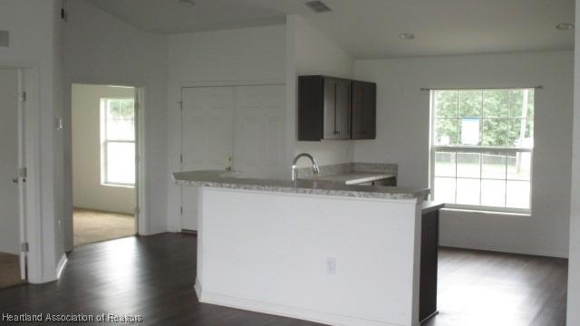 kitchen with dark hardwood / wood-style floors, a healthy amount of sunlight, and light stone countertops