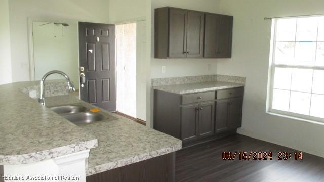 kitchen with dark brown cabinets, a healthy amount of sunlight, and sink