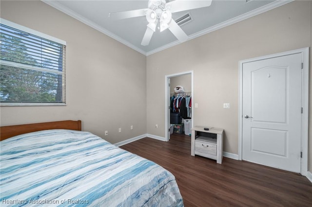 bedroom featuring ceiling fan, dark wood-type flooring, a walk in closet, a closet, and ornamental molding