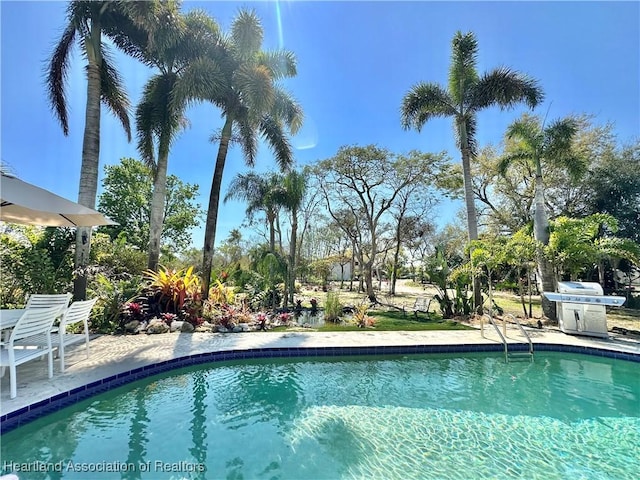 outdoor pool featuring a patio