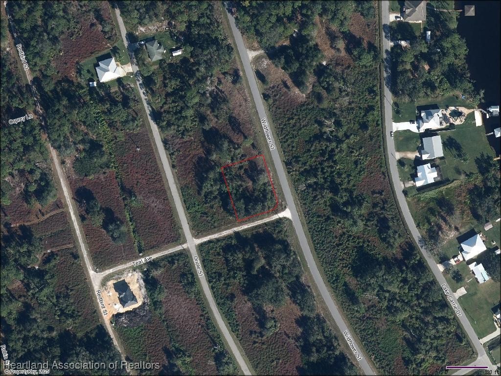1040 Wildflower St, Lake Placid, FL 33852 - photo 2
