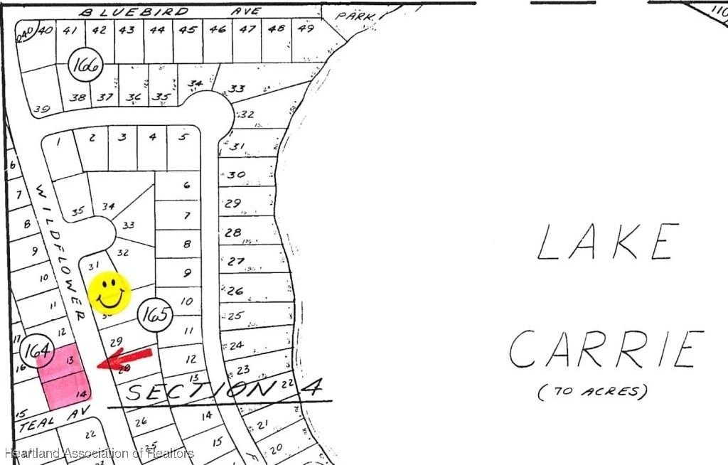 1040 Wildflower St, Lake Placid, FL 33852 - photo 1