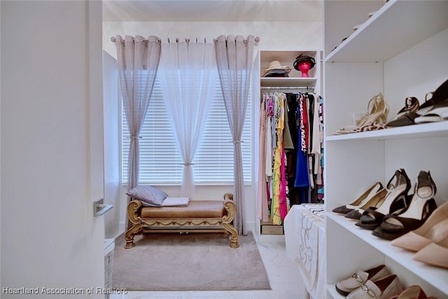 view of walk in closet