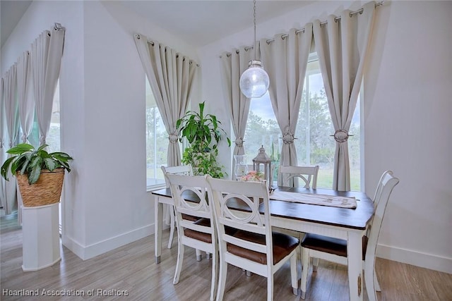 dining room with hardwood / wood-style flooring