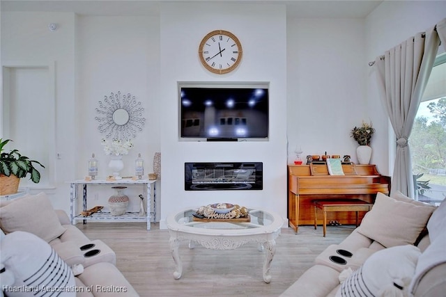 living room with light wood-type flooring