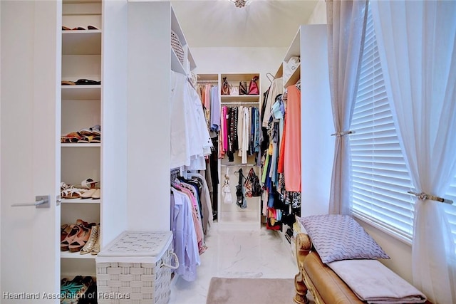 view of walk in closet