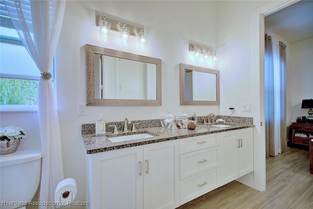 bathroom featuring hardwood / wood-style floors, toilet, and vanity