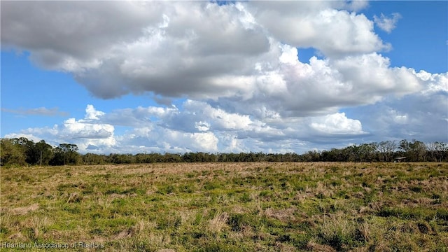Old Bradenton Rd, Wauchula, FL 33873 - photo 4