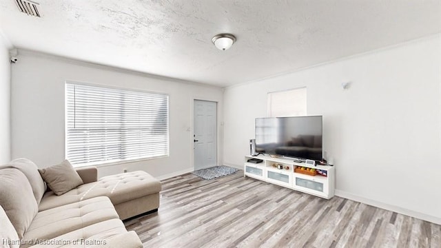 living room featuring light hardwood / wood-style flooring and a textured ceiling