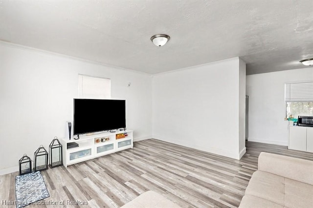 living room featuring light wood-type flooring and ornamental molding