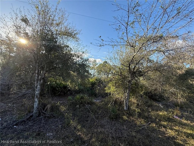 140 S Riverdale Rd, Avon Park FL, 33825 land for sale