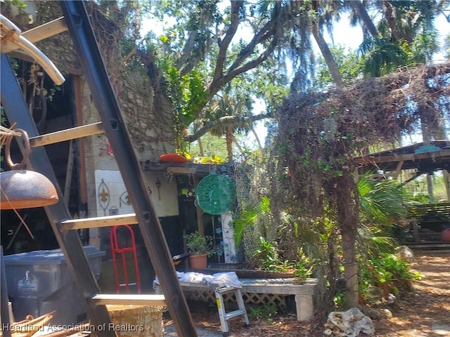 12115 S US Highway 41, Gibsonton, FL 33534 - view of yard