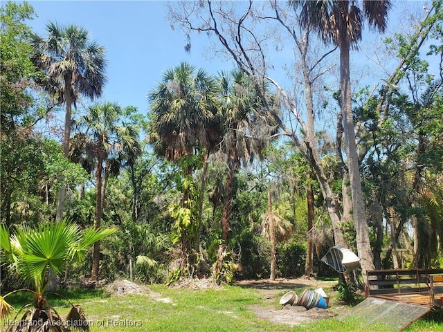 12115 S US Highway 41, Gibsonton, FL 33534 - view of yard