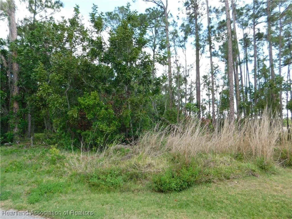 5720 S Ky S, Sebring, FL 33875 - photo 1