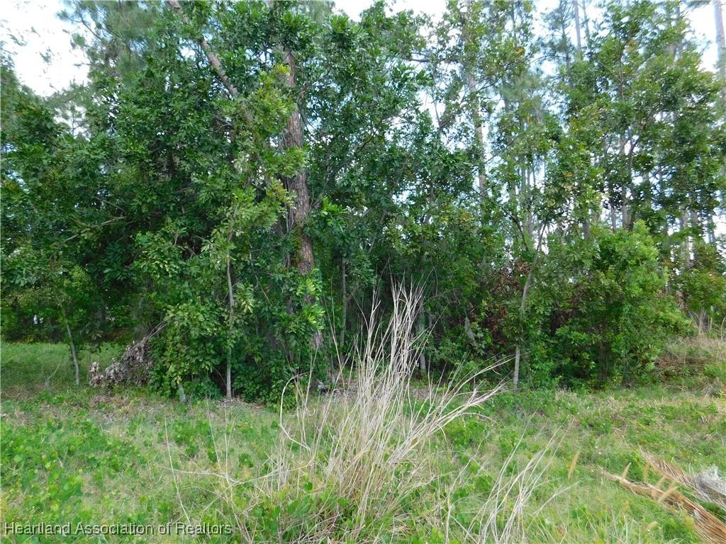 5720 S Ky S, Sebring, FL 33875 - photo 3